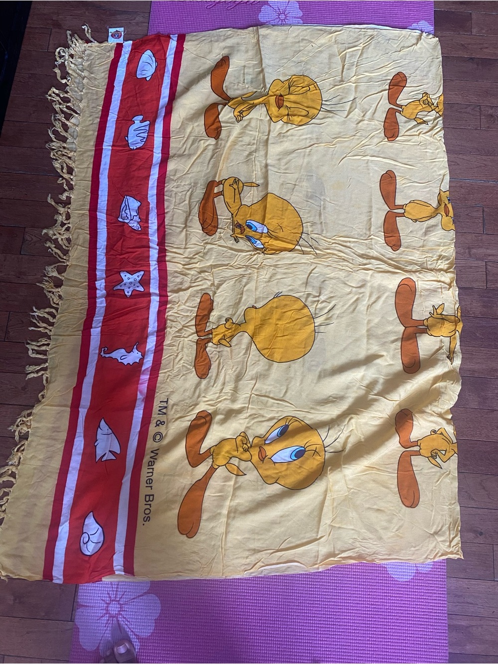 Looney Tunes Warner Bros. Tweety Yellow and Red Cartoon Beach Throw